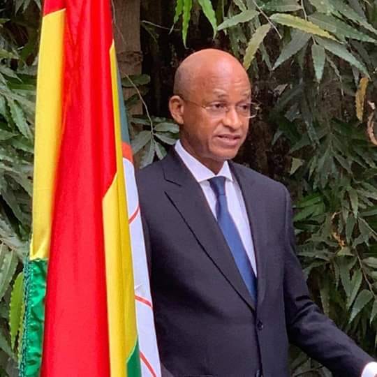 Vœux de nouvel an 2019: le message du président de l'UFDG, Cellou Dalein Diallo