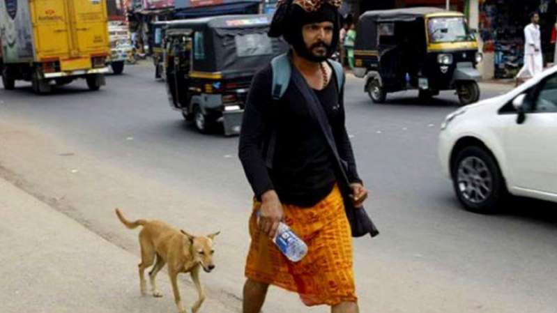 Inde: un pèlerin suivi par un chien errant sur 600 km