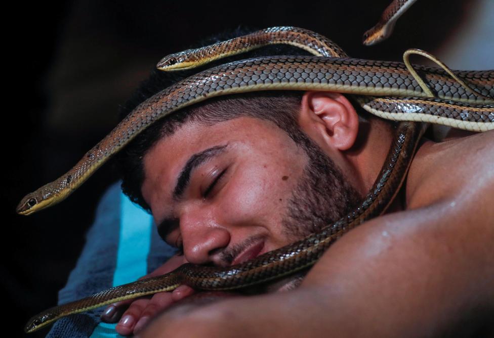 Un massage de serpents: la proposition insolite d’un spa égyptien