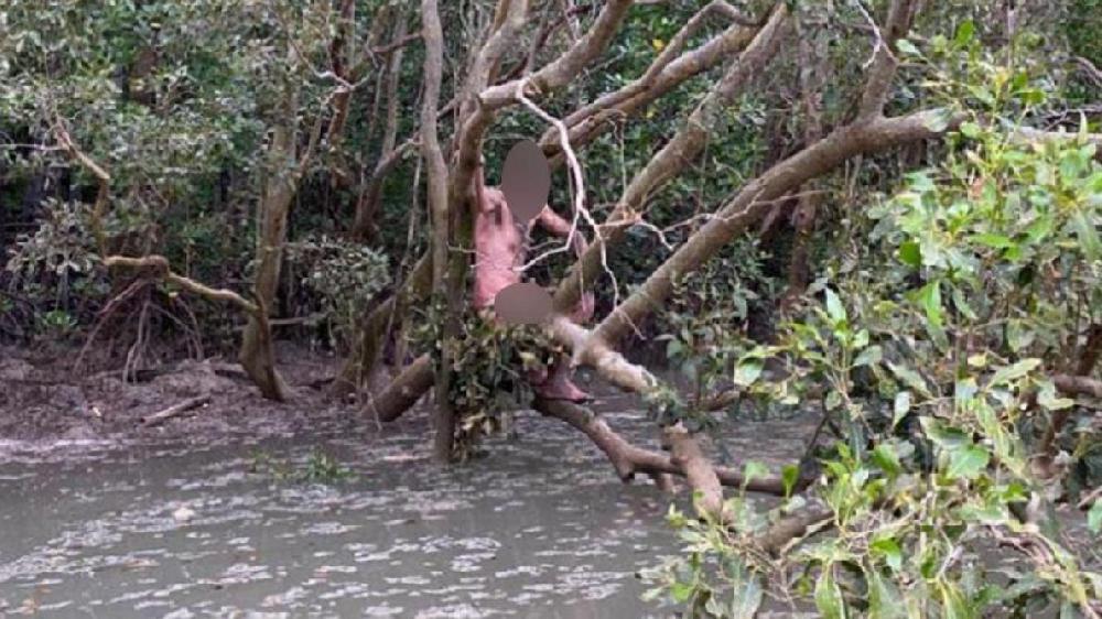 Australie: un fugitif retrouvé nu au milieu de crocodiles