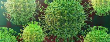Covid-19 : Après le vaccin, les femmes enceintes peuvent développer une immunité