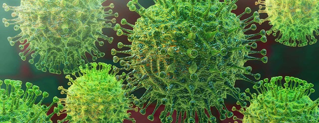 Covid-19 : un chercheur émet une nouvelle hypothèse sur l'origine de la pandémie