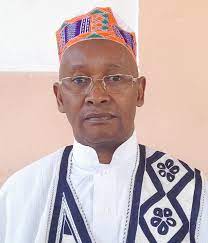 CNRD, transition, liberté de la presse, Ousmane Gaoual: les vérités crues du docteur Alpha Amadou Diallo, homme de confiance du patron de l' UFDG