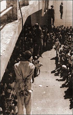 1958-2018 ! Soixante ans de Domestication et de Déshumanisation ( opinion )